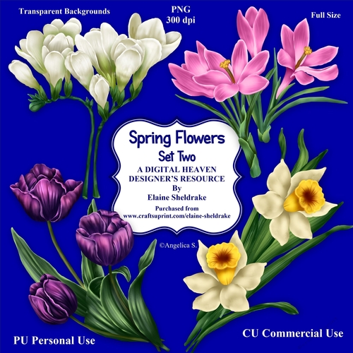 Spring Flowers Set Two- CU Designer Resource For Commercial Use Card Making Scrapbooking etc. - Full Size - PNG