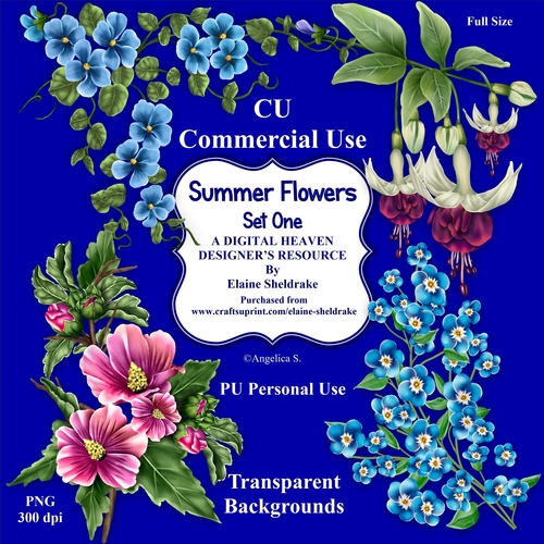 Summer Flowers Set One- CU Designer Resource For Commercial Use, Personal Use Card Making Scrapbooking etc. - Full Size - PNG