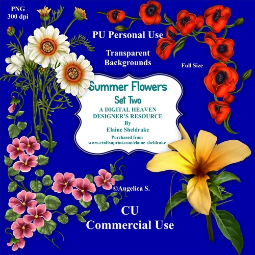 Summer Flowers Set Two - CU Designer Resource For Commercial Use, Personal Use Card Making Scrapbooking etc. - Full Size - PNG