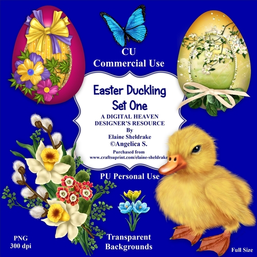 Easter Duckling - Set One - CU Designer Resource For Commercial Use, Personal Use, Card Making, Scrapbooking etc. - Full Size - PNG