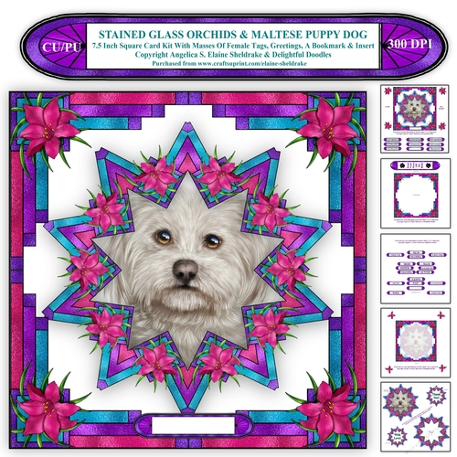 7.5 Square Faux Stained Glass Orchids & Maltese Puppy Gog Card Kit Plus Tags,Insert,Bookmark + Gift Tags