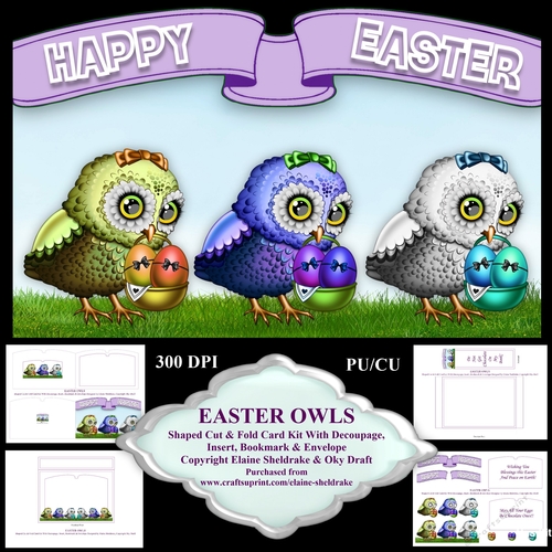 Easter Owls, Shaped Cut And Fold Card Kit With Decoupage, Insert, Envelope And A Bookmark