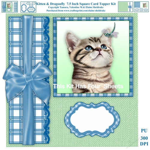 Kitten And Dragonfly 7.5 Inch Square Card Topper Kit & Assorted Greetings