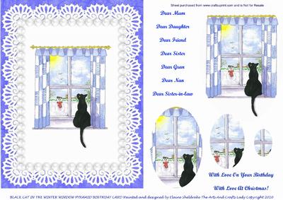 Black Cat in Christmas Winter Window Xmas or Birthday Card