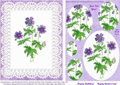Geraniums & Geranium Butterfly Lace & Pearls Watercolour