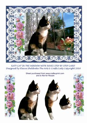 Katy Cat in the Window with Roses Step by Step Card Birthday