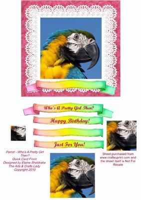 Parrot Who is a Pretty Girl Then? Qick Pyramid Card