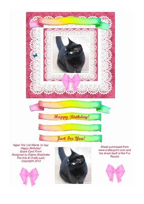 Black Nigre Cat, Lace Pearls & Butterfly Quick Pyramid Card