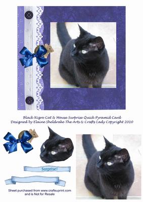 Black Nigre Cat & Mouse Surprise Quick Pyramid Card