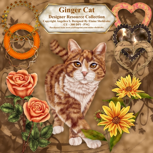 Ginger Cat - Designers Resource - CU PNG 300 DPI