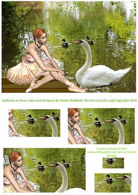 Ballerina at Swan Lake Ballet Card