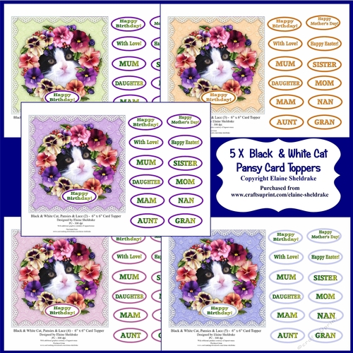 Five 6 x 6 Assorted Black & White Cat Card Toppers With Pansies & Lace