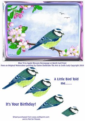 Blue Tit & Apple Blossom Bird Decoupage or Quick Card Front