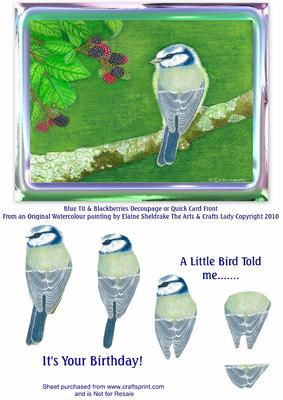 Blue Tit & Blackberries Framed Decoupage Bird or Quick Card