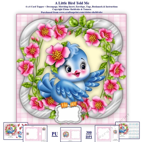 A Little Bird Told Me 6 x 6 Card Topper, Decoupage, Insert,Envelope,Bookmark & Lots Of Tags