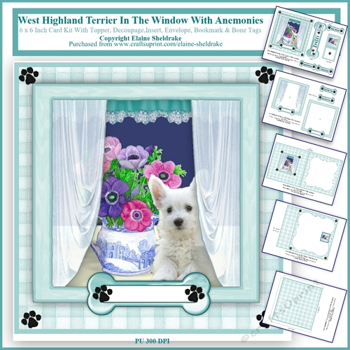 West Highland Terrier In The Window With Anemonies 6 x 6 Card Kit 