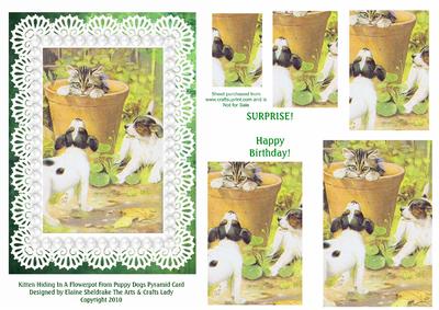Kitten Hiding from Puppy Dogs A5 Pyramid Card