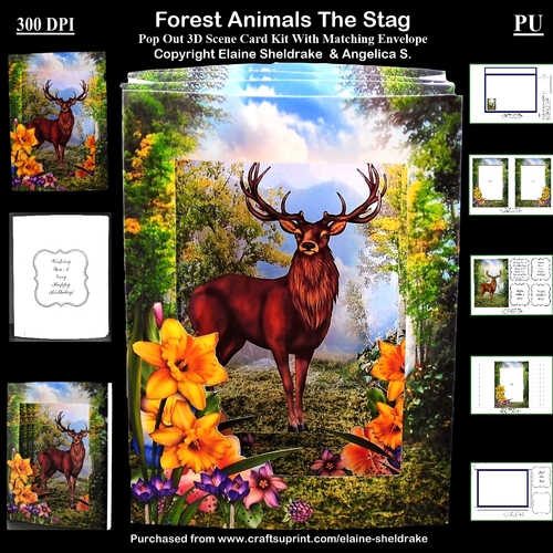 Forest Animals The Stag - 3D Pop Out Concertina Scenic Box Card Kit With Matching Envelope