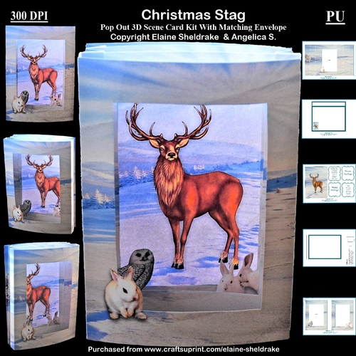 Christmas Stag 3D Pop Out Concertina Scenic Box Card Kit & Matching Envelope