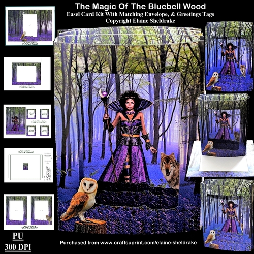 The Magic Of The Bluebell Wood A Pagan 3D Pop Out Concertina Scenic Box Card Kit With Matching Envelope
