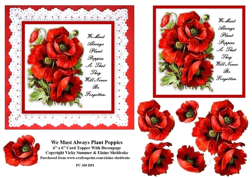 We Must Always Plant Poppies 6 x 6 Card Topper With Decoupage