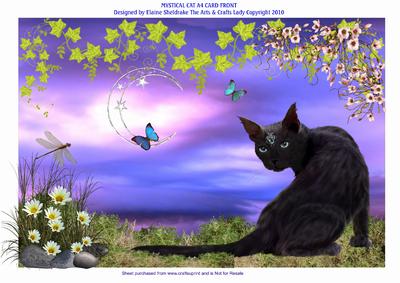 Mystical the Magic Cat A4 Quick Card Front