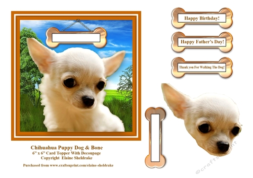 Chihuahua Puppy Dog & Bone 6 x 6 Card Topper With Decoupage