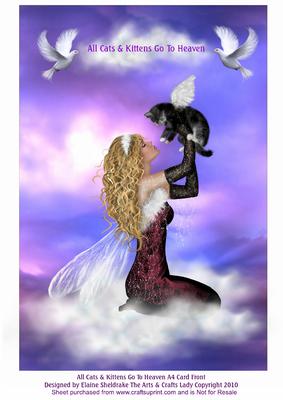 All Cats & Kittens Go to Heaven A4 Sympathy Card Front