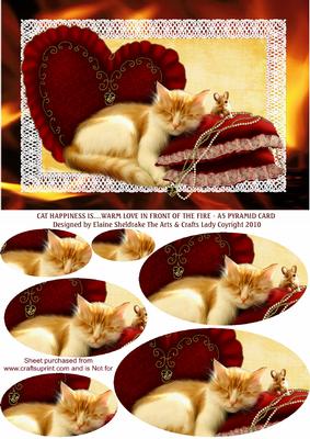 Cat Happiness Is - warm Love in Front of the Fire A5 Pyramid