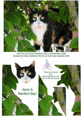 Katy Cat in Magnolia Tree A5 Tunnel Decoupage Card