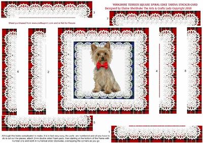 Yorkshire Terrier Dog Square Spiral Edge Tartan Stacker Card