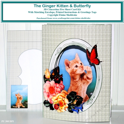 Ginger Kitten 3D Pop Out Concertina Box Card Kit & Envelope Folds Flat For Posting
