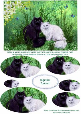 Black & White Long Haired Cats Together Forever A5 Card