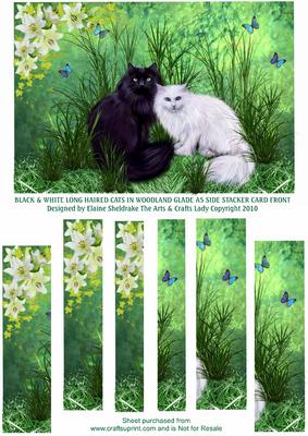 Black & White Long Haired Cats A5 Side Stacker Card Front