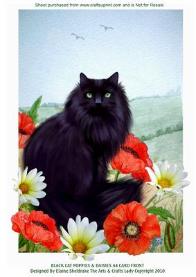 Black Cat Poppies & Daisies A4 Card Front
