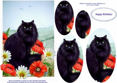 Black Cat Poppies & Daisies A5 Oval Pyramid Card Front