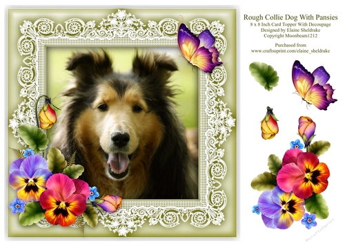 Rough Collie Dog Pansies Butterfly 8 x 8 Card Topper With Decoupage