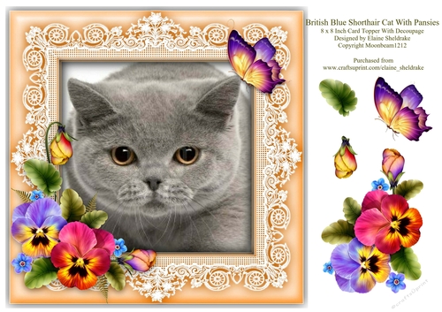 British Blue Shorthair Cat Pansies Butterfly 8 x 8 Card Topper & Decoupage