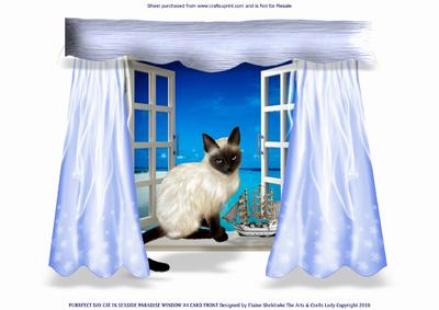 Purrfect Day Cat in Seaside Paradise Window A4 Card Front