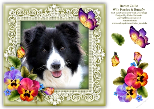 Border Collie Puppy Dog 8 x 8 Card Topper With Pansy Decoupage