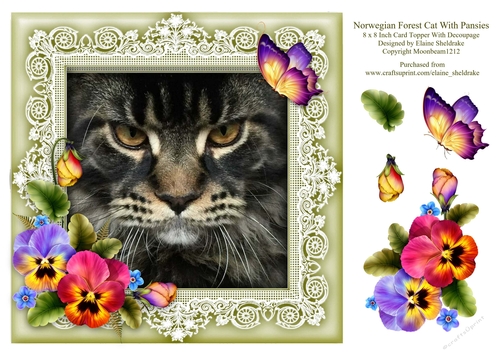 Norwegian Forest Cat 8 x 8 Card Topper With Pansy Decoupage