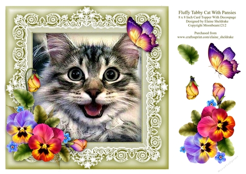 Fluffy Tabby Cat 8 x 8 Card Topper With Pansy Decoupage