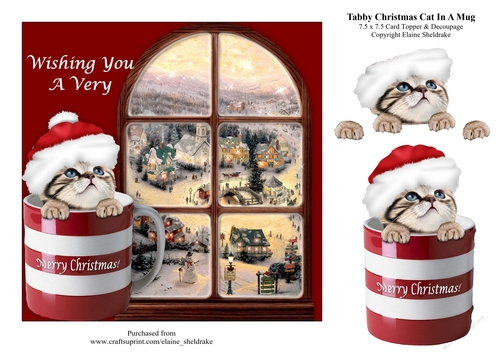 Tabby Christmas Kitten Cat In A Mug