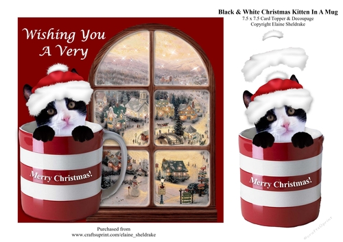 Black & White Christmas Kitten Cat In A Mug