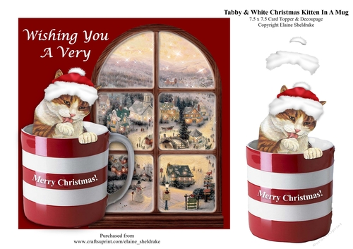 Tabby & White Kitten Cat In A Mug & Decoupage