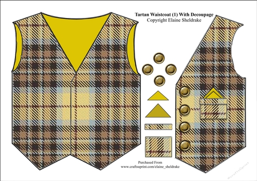 Tartan Waistcoat Or Vest (1) With Decoupage