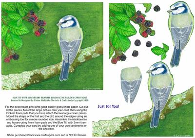 Blue Tit & Blackberry Bramble Lunch Scene Builder Card Front