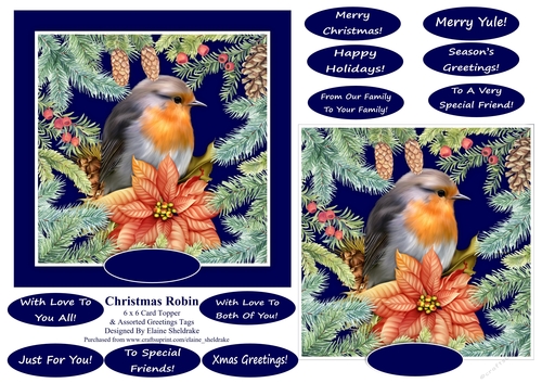 Christmas Robin 6 X 6 Card Topper & Assorted Greetings