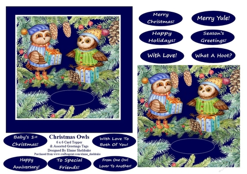 Christmas Owls 6 X 6 Card Topper & Assorted Greetings