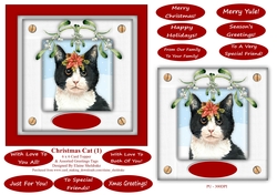 Christmas Cat (1) 6 x 6 Card Topper With Masses Of Greetings Tags